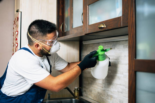 Best Pest Removal Services  in Lisbon, ME
