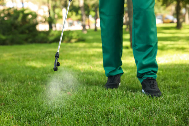 Best Mosquito Control Services  in Lisbon, ME
