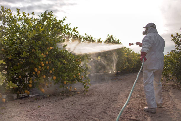 Best Pest Prevention Services  in Lisbon, ME