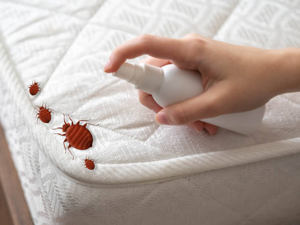 Best Pest Control Near Me in Lisbon, ME
