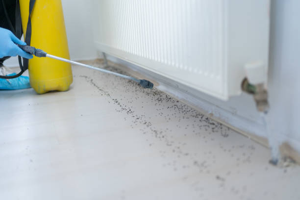 Best Affordable Pest Control Services  in Lisbon, ME